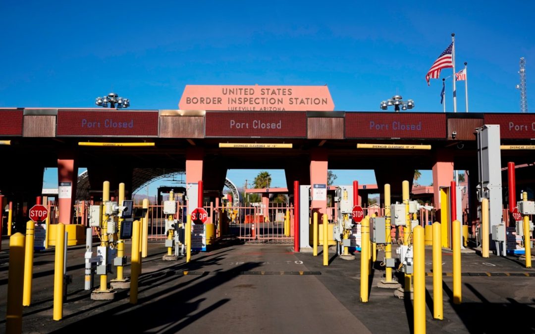 Client Success Story: Catching Section 232 Errors Before They Become a Costly Problem